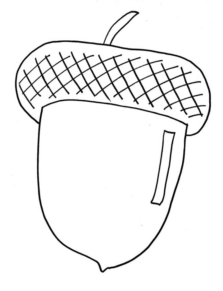 Online coloring book: Oak acorn coloring page